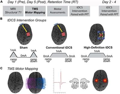 Effects of Transcranial Direct Current Stimulation and High-Definition Transcranial Direct Current Stimulation Enhanced Motor Learning on Robotic Transcranial Magnetic Stimulation Motor Maps in Children